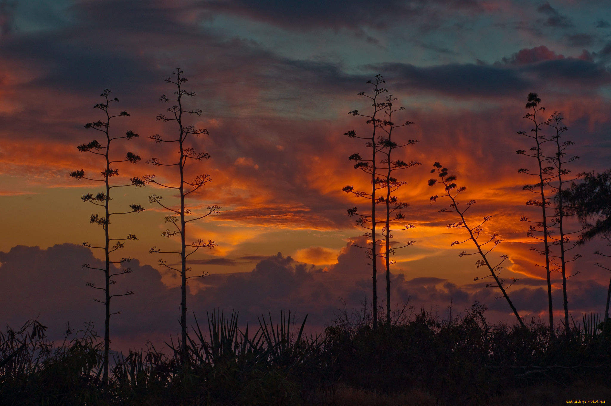 , , , , , kauai, , , , 
